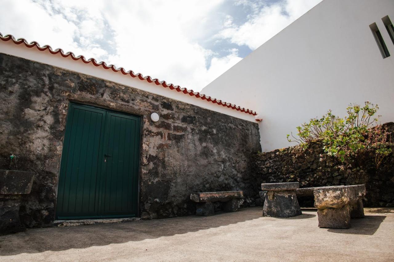 Casa Das Palmeiras São Vicente Ferreira Exterior foto
